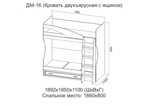 ДМ-16 Кровать двухъярусная с ящиком в Троицке - troick.magazin-mebel74.ru | фото