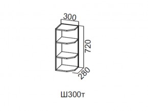 Ш300т/720 Шкаф навесной 300/720 (торцевой) в Троицке - troick.magazin-mebel74.ru | фото