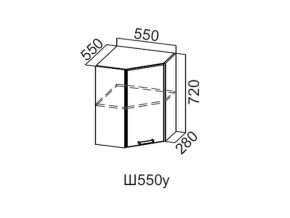 Ш550у/720 Шкаф навесной 550/720 (угловой) в Троицке - troick.magazin-mebel74.ru | фото