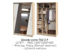 шкаф-купе ПШ-2.9 1500 Норд Белый жемчуг 1500 в Троицке - troick.magazin-mebel74.ru | фото