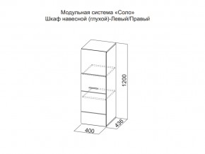 Шкаф навесной (глухой) Левый в Троицке - troick.magazin-mebel74.ru | фото